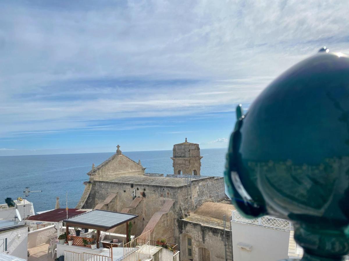 Terrazza Mediterranea - Puglia Mia Apartments 모노폴리 외부 사진